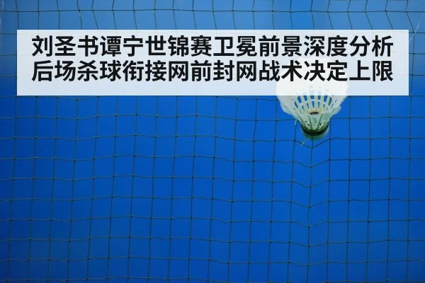 badminton net play